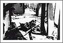 LST282 Damage.jpg